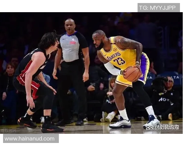 29日骑士与热火激战直播全程回顾精彩瞬间与赛后分析